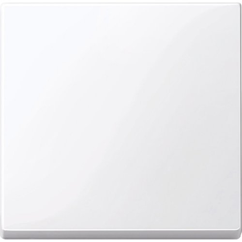 Лицевая панель Schneider Electric Merten System M для 1-кл. выключателя активно-белый картинка